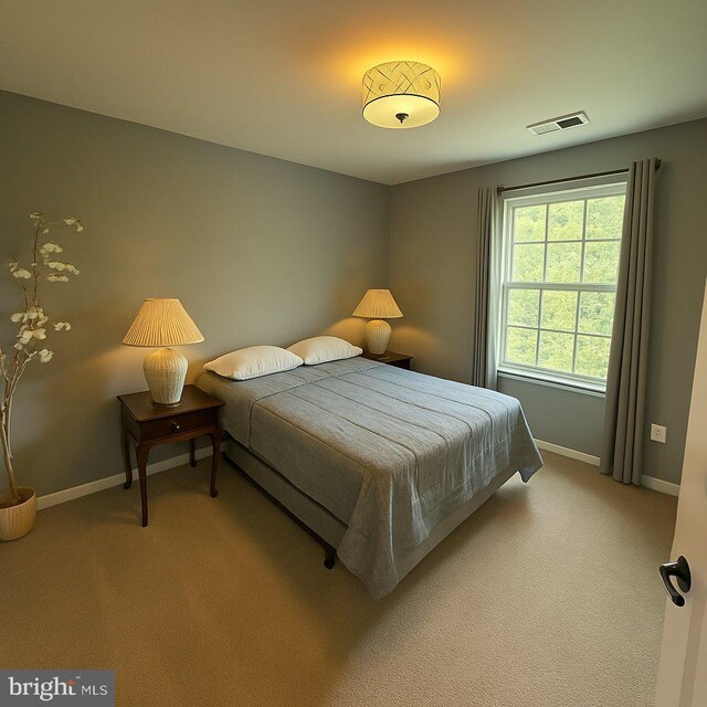 9933 Box Oak Ct, Fredericksburg, VA 22407 - photo 22