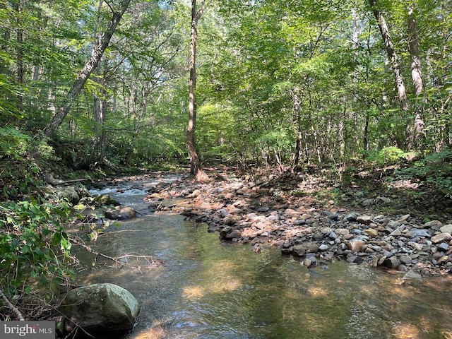 535 Old Hollow Rd, Sperryville, VA 22740 - photo 1