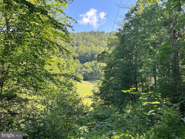 535 Old Hollow Rd, Sperryville, VA 22740 - photo 22