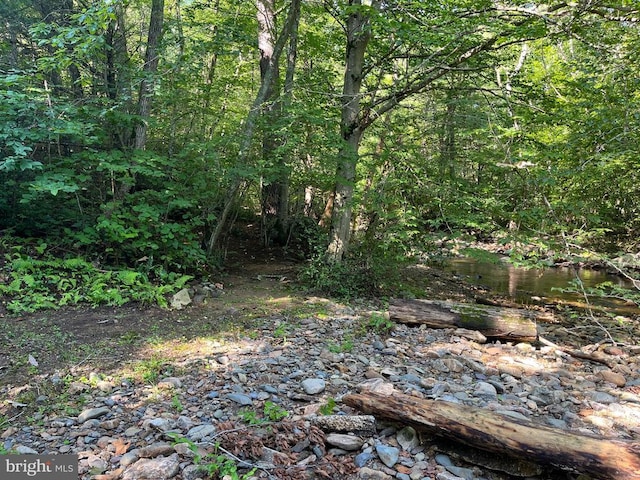 535 Old Hollow Rd, Sperryville, VA 22740 - photo 20