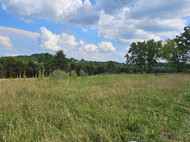 4CROWNRIDGE Berry Farm Rd, Staunton, VA 24401 - photo 32