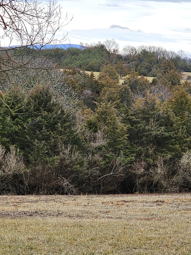 4CROWNRIDGE Berry Farm Rd, Staunton, VA 24401 - photo 39