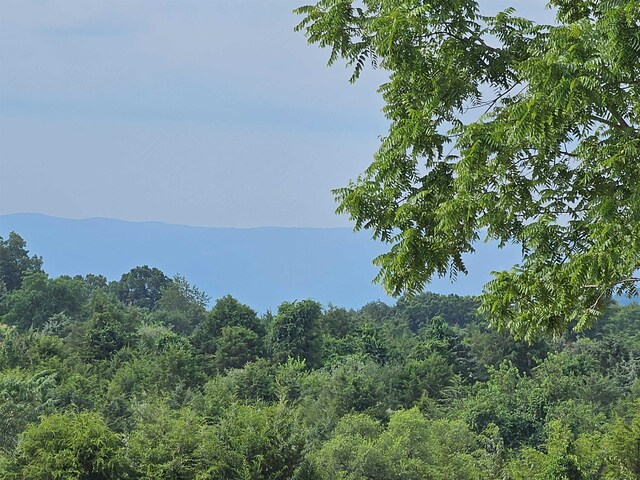 4CROWNRIDGE Berry Farm Rd, Staunton, VA 24401 - photo 5