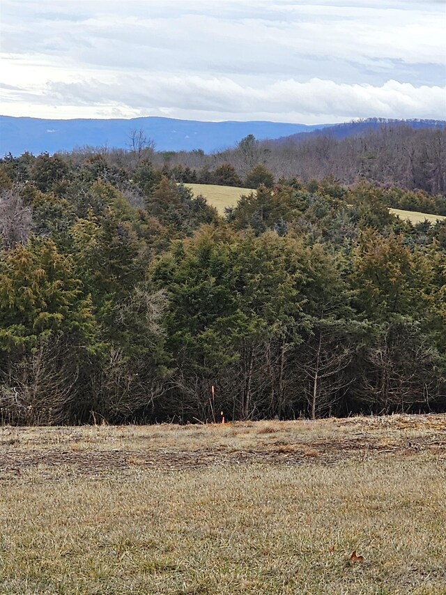 4CROWNRIDGE Berry Farm Rd, Staunton, VA 24401 - photo 37