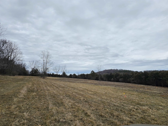 4CROWNRIDGE Berry Farm Rd, Staunton, VA 24401 - photo 23