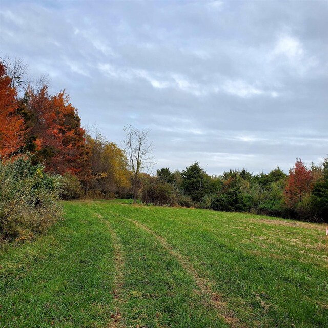 4CROWNRIDGE Berry Farm Rd, Staunton, VA 24401 - photo 8