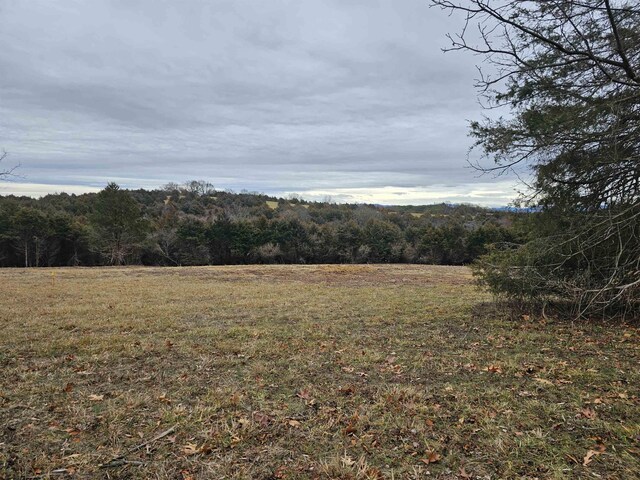 4CROWNRIDGE Berry Farm Rd, Staunton, VA 24401 - photo 34