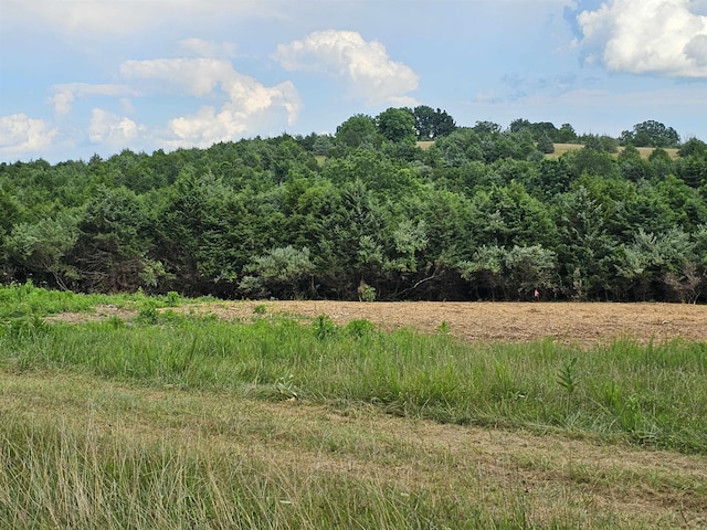 4CROWNRIDGE Berry Farm Rd, Staunton, VA 24401 - photo 33