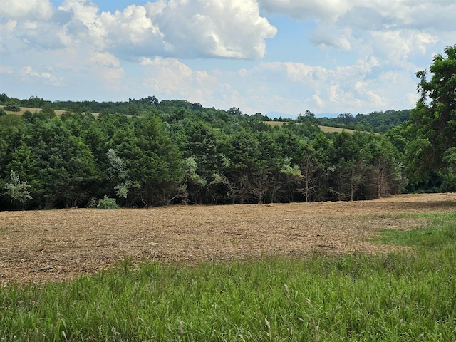 4CROWNRIDGE Berry Farm Rd, Staunton, VA 24401 - photo 40