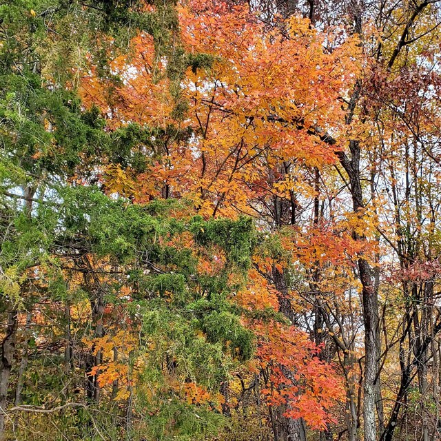 4CROWNRIDGE Berry Farm Rd, Staunton, VA 24401 - photo 20
