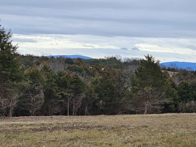 4CROWNRIDGE Berry Farm Rd, Staunton, VA 24401 - photo 38
