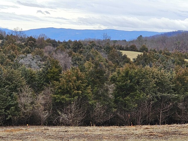 4CROWNRIDGE Berry Farm Rd, Staunton, VA 24401 - photo 2