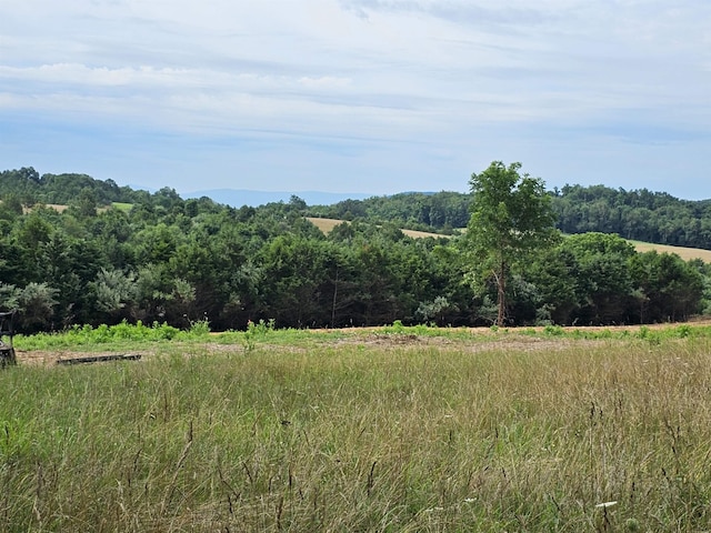 4CROWNRIDGE Berry Farm Rd, Staunton, VA 24401 - photo 7