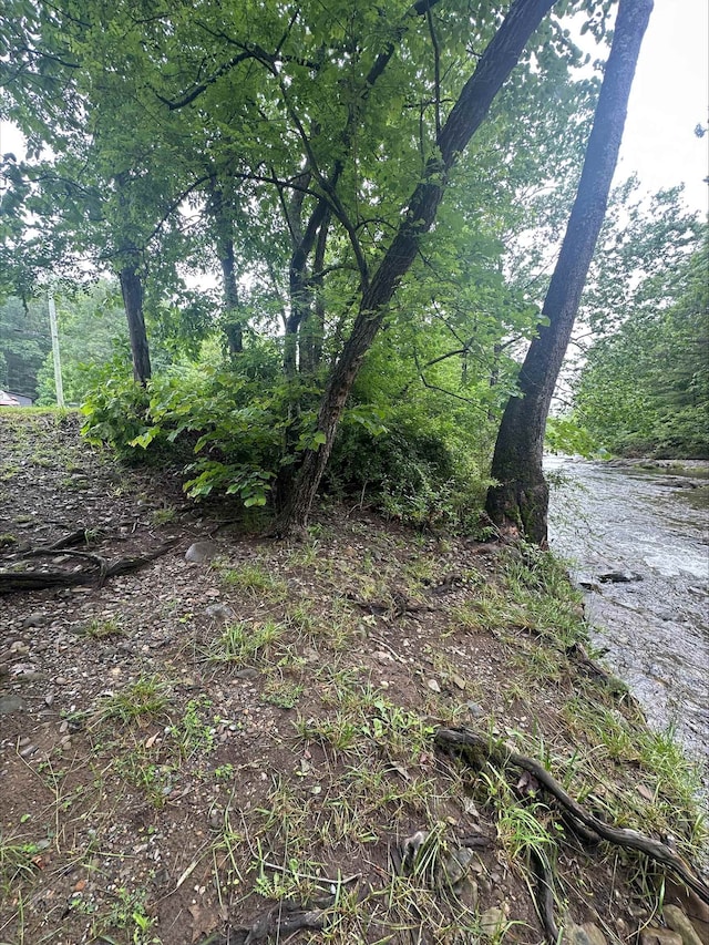2420 Jollett Rd, Elkton, VA 22827 - view of local wilderness