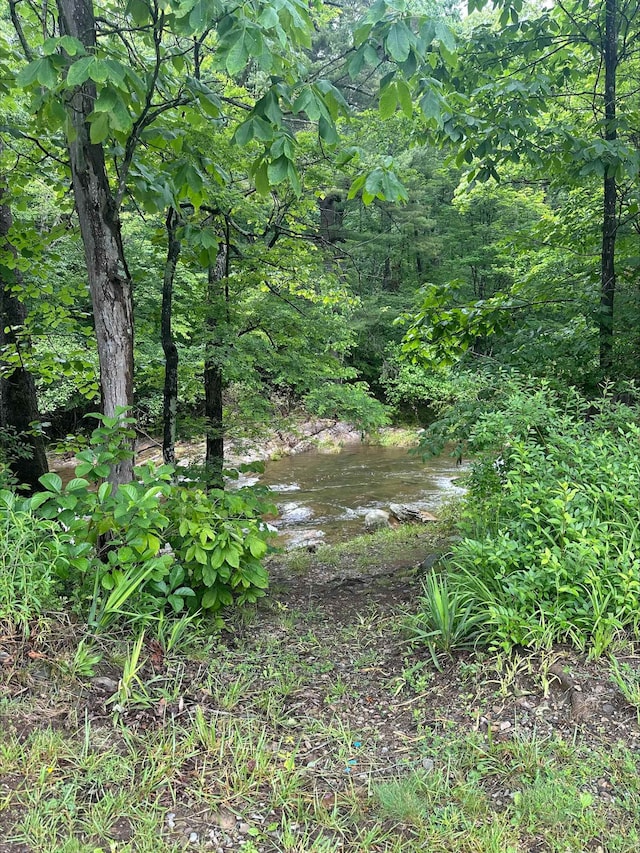 2420 Jollett Rd, Elkton, VA 22827 - view of nature