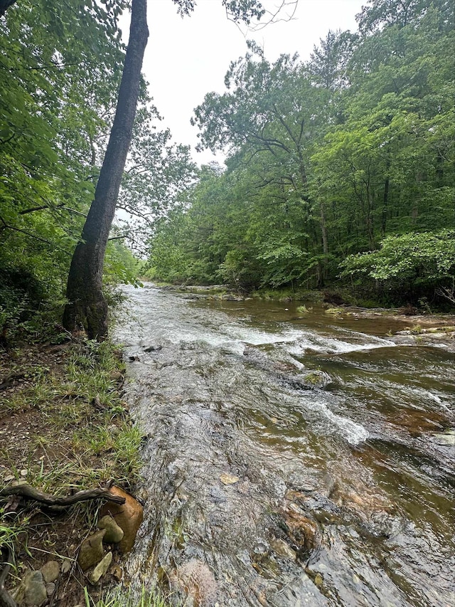 2420 Jollett Rd, Elkton, VA 22827 - water view with a heavily wooded area