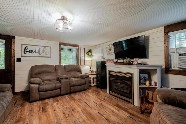 2420 Jollett Rd, Elkton, VA 22827 - living area featuring wooden walls, wood finished floors, and a fireplace