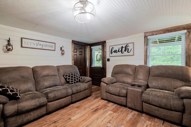 2420 Jollett Rd, Elkton, VA 22827 - living room featuring wood walls, plenty of natural light, and wood-type flooring