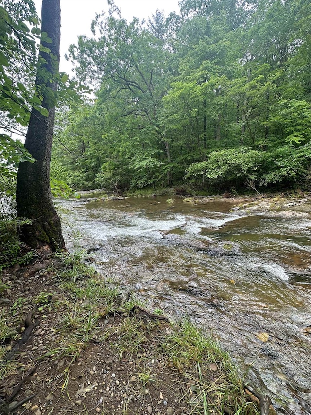 2420 Jollett Rd, Elkton, VA 22827 - view of wooded area