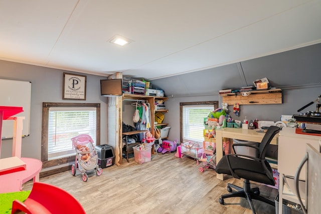 2420 Jollett Rd, Elkton, VA 22827 - home office featuring wood finished floors and lofted ceiling