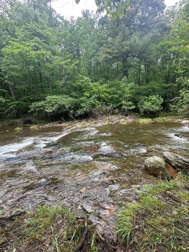 2420 Jollett Rd, Elkton, VA 22827 - view of woods