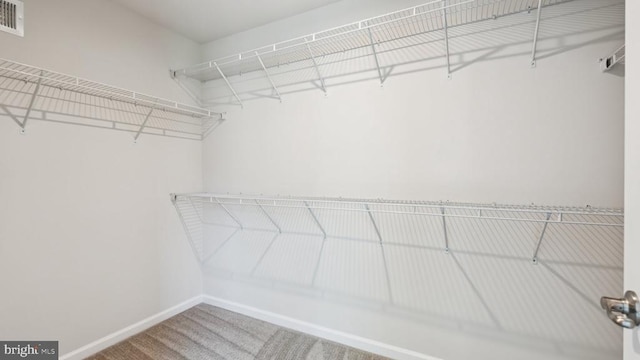 12504 Bainswood Ct, Fredericksburg, VA 22407 - photo 41
