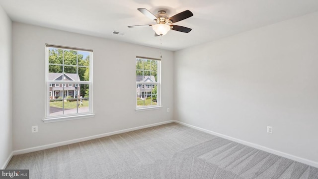 12504 Bainswood Ct, Fredericksburg, VA 22407 - photo 31