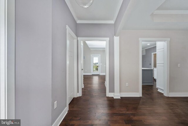 corridor with dark wood-type flooring and ornamental molding