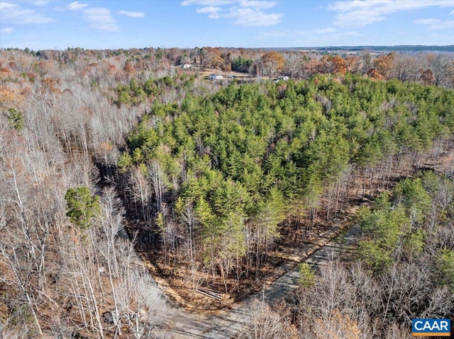 TBD Amelia Springs Road, Amelia, VA 23083 - bird's eye view with a forest view