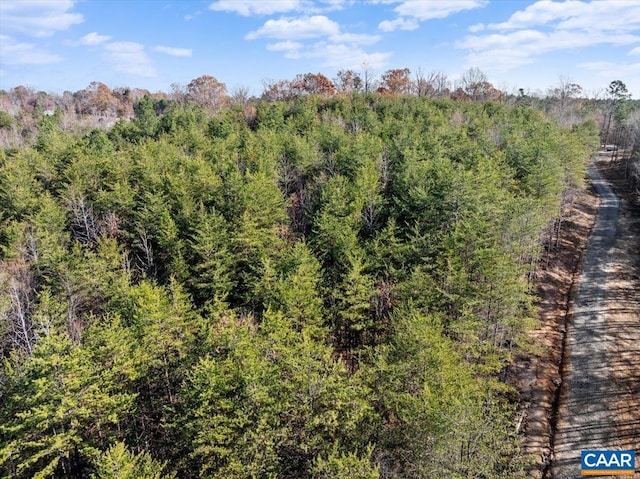 TBD Amelia Springs Road, Amelia, VA 23083 - view of landscape with a wooded view