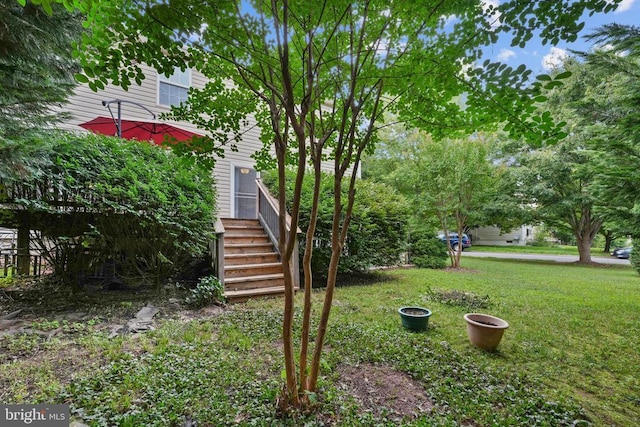 2203 Cottonwood Ln, Culpeper, VA 22701 - photo 40