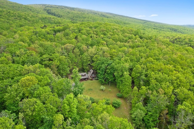 537 High Valley Dr N, Monterey, VA 24465 - view from above of property featuring a forest