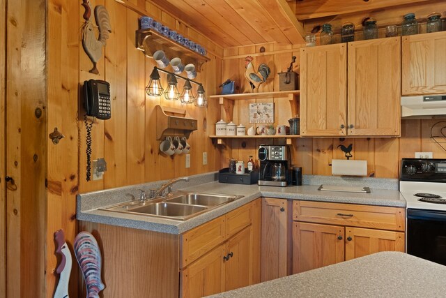 537 High Valley Dr N, Monterey, VA 24465 - kitchen with range with electric cooktop, under cabinet range hood, a sink, wood walls, and open shelves