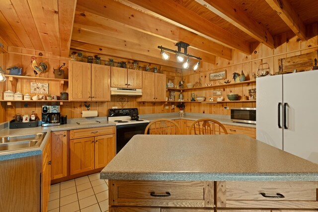 537 High Valley Dr N, Monterey, VA 24465 - kitchen featuring open shelves, electric range oven, under cabinet range hood, stainless steel microwave, and a sink