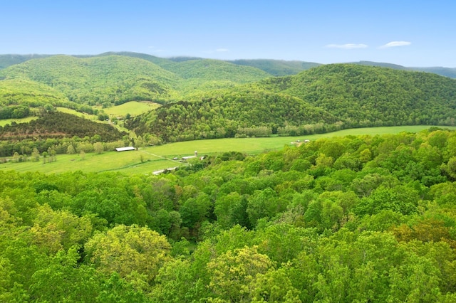 537 High Valley Dr N, Monterey, VA 24465 - mountain view featuring a heavily wooded area