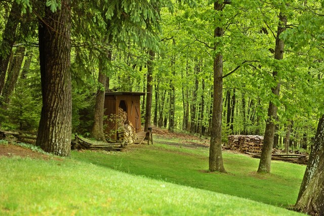 537 High Valley Dr N, Monterey, VA 24465 - view of green lawn with a shed, an outbuilding, and a wooded view