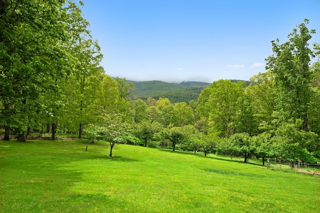 537 High Valley Dr N, Monterey, VA 24465 - view of home's community with a forest view and a lawn