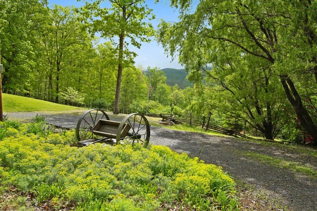 537 High Valley Dr N, Monterey, VA 24465 - view of property's community with a wooded view
