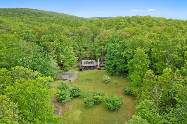 537 High Valley Dr N, Monterey, VA 24465 - view from above of property with a forest