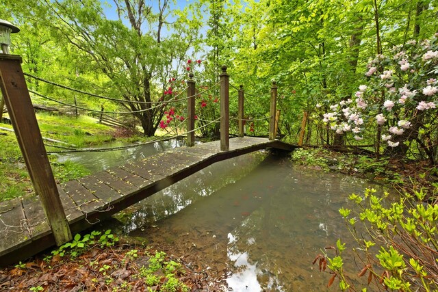 537 High Valley Dr N, Monterey, VA 24465 - exterior view