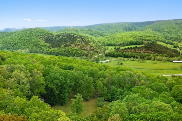 537 High Valley Dr N, Monterey, VA 24465 - mountain view with a heavily wooded area