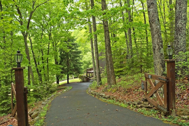 537 High Valley Dr N, Monterey, VA 24465 - view of property's community featuring a view of trees