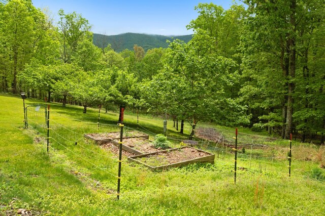 537 High Valley Dr N, Monterey, VA 24465 - view of home's community with a vegetable garden, a view of trees, and a yard