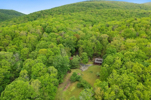 537 High Valley Dr N, Monterey, VA 24465 - aerial view of a heavily wooded area and a mountainous background