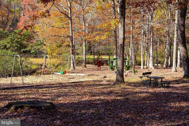 12517 Wilderness Park Dr, Spotsylvania, VA 22551 - photo 59