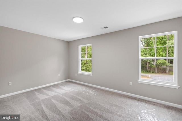 12517 Wilderness Park Dr, Spotsylvania, VA 22551 - photo 33