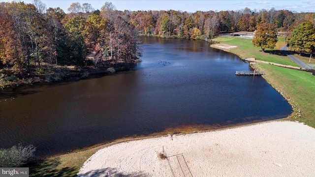 12517 Wilderness Park Dr, Spotsylvania, VA 22551 - photo 53
