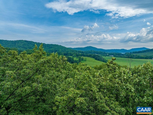 680 Hightop Dr, North Garden, VA 22959