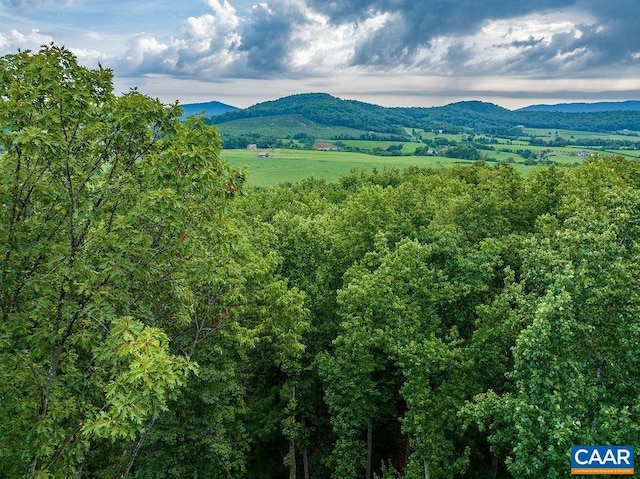 680 Hightop Dr, North Garden, VA 22959