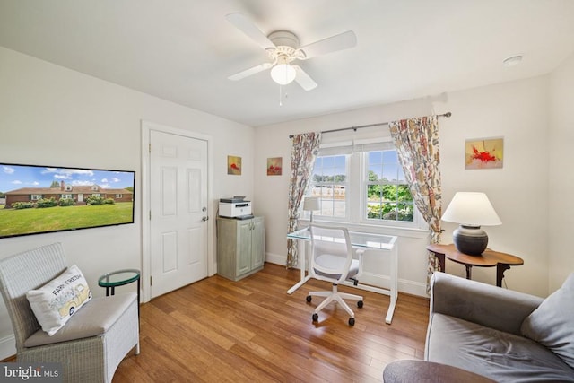 12014 Jefferson Hwy, Mineral, VA 23117 - office with light wood-style floors and a ceiling fan